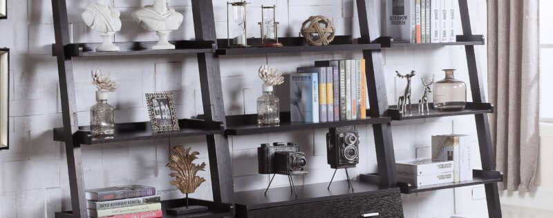 Colella Cappuccino Ladder Bookcase Wall