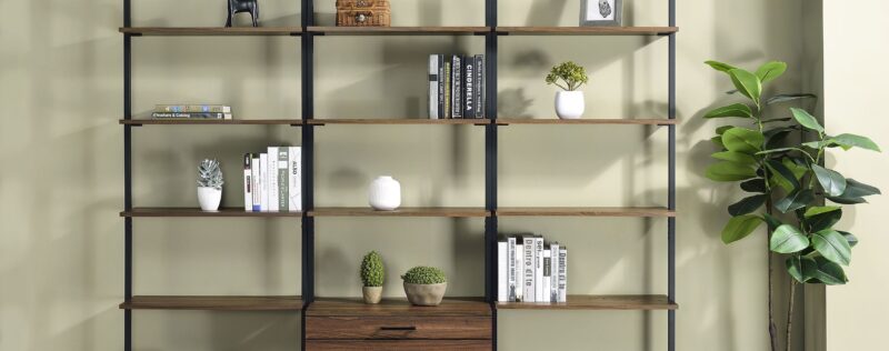 Owens Walnut Bookshelf Wall